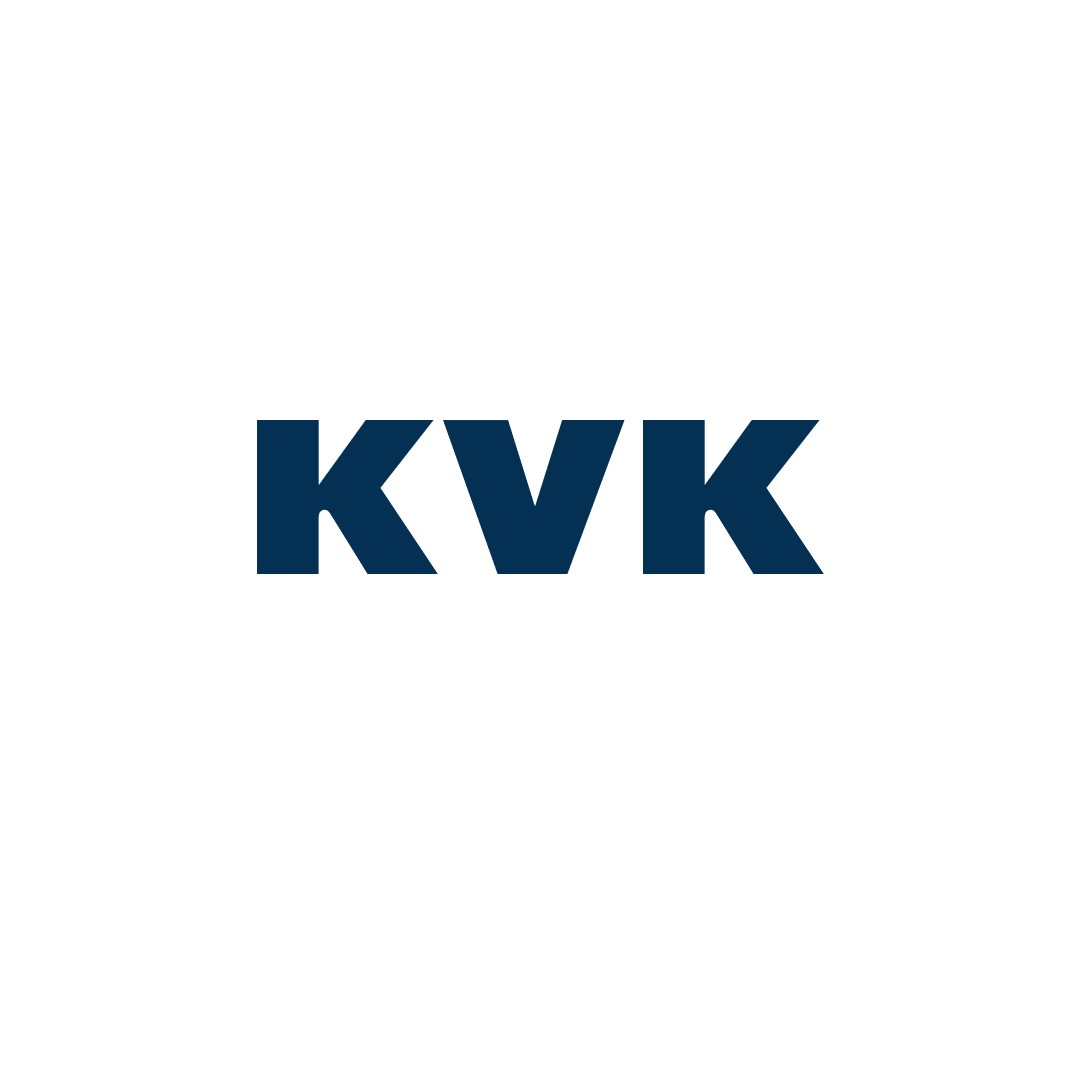 E-book digitaal ondernemen