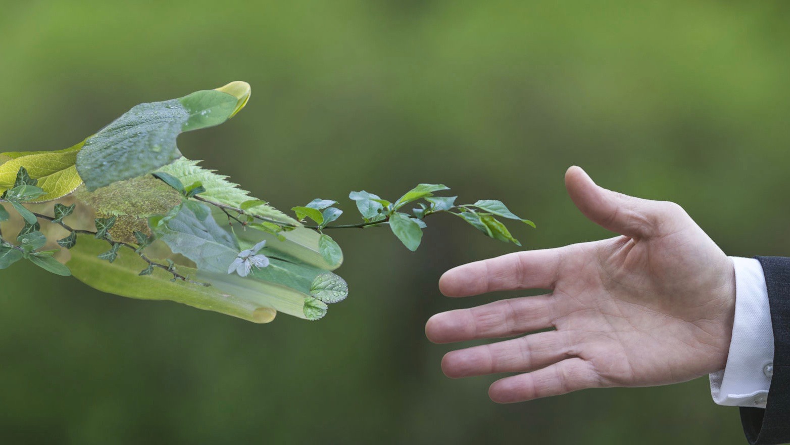 Groene groeiers zetten grote stappen naar circulaire economie