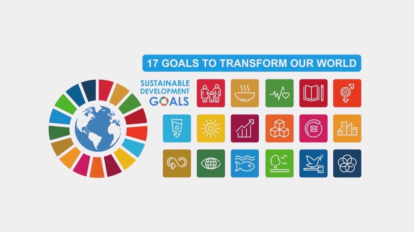 SDG 11 met stip op 1 bij groene groeiers