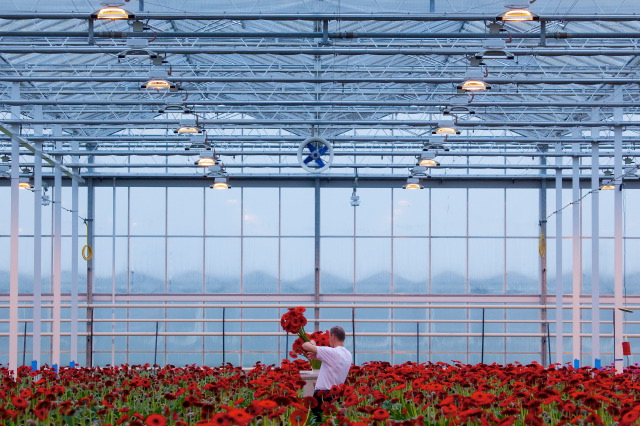 Westland op weg naar duurzame energie