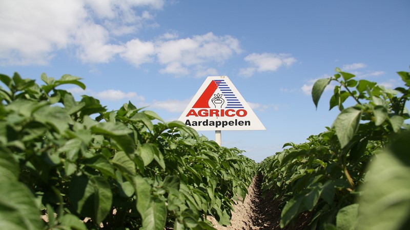 Succesvol generatiebeleid bij Agrico bindt jonge en oude collega's