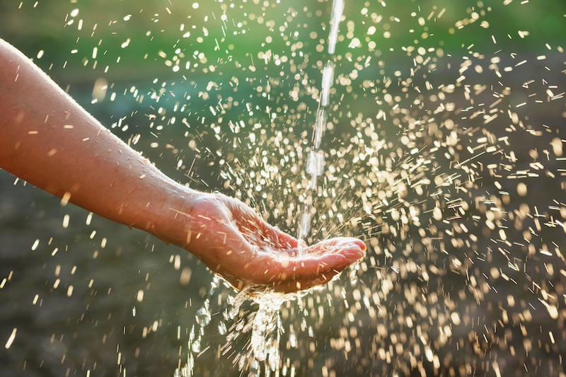 Regenwater opvangen en hergebruiken: hoe doe je dat?