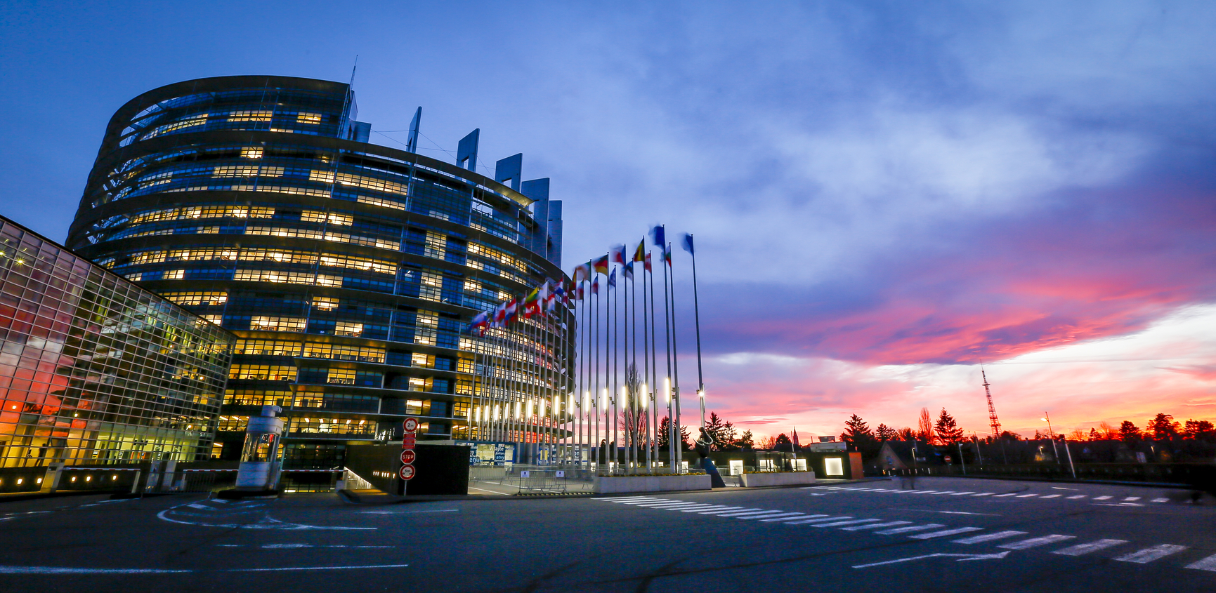 Ondernemersvisie op Europese verkiezingen