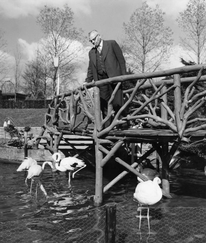 Er is nog geen publiek. En zo kan avifauna-eigenaar Martien van der Valk nog even rustig rondlopen