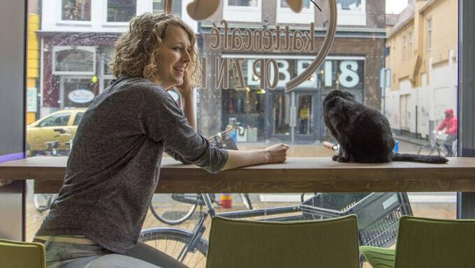 Hielkje Wester (Kattencafé Op z'n kop): 'Crowdfunding is eigenlijk verkapte marketing. Je weet gelijk of er belangstelling is'