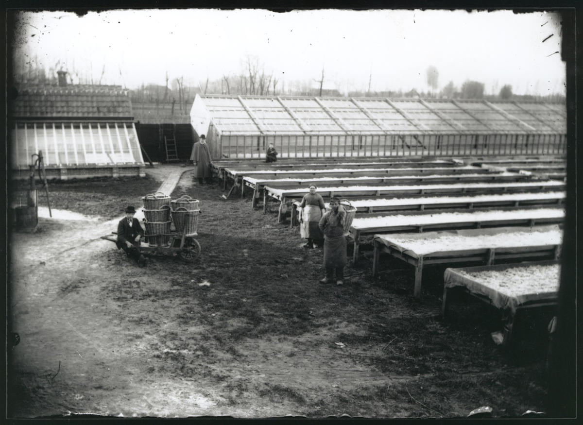 Bolsius kaarsenfabriek