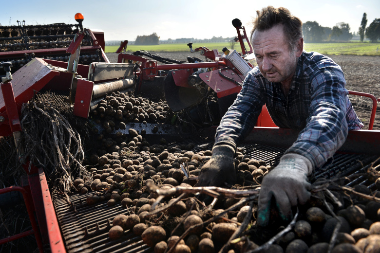 Waarom aardappelverwerker Avebe de energietransitie niet zomaar piept