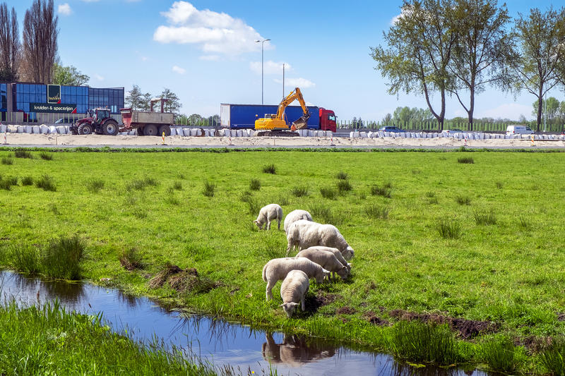 PBL positief over voorstellen stikstofversnelling, uitvoeringskracht van belang