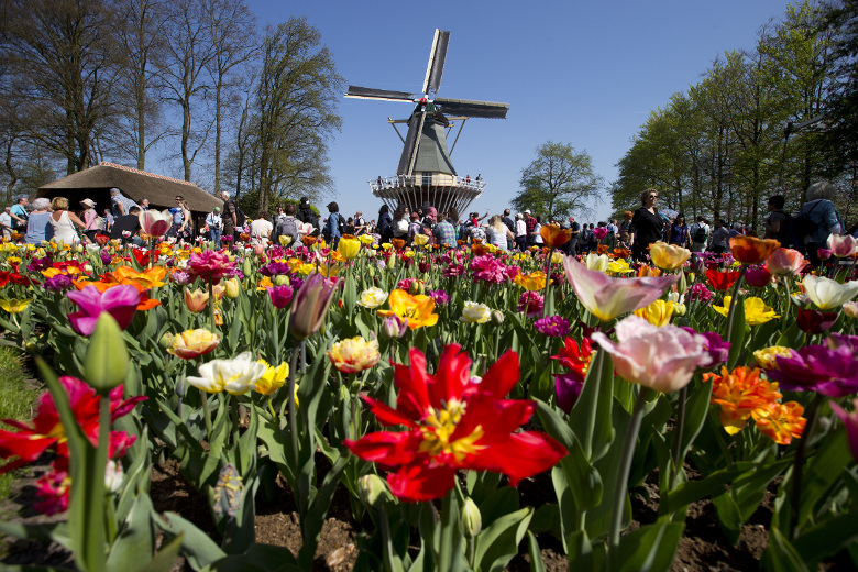 De kunst van bedrijven verleiden: doet Nederland of de VS dat beter?