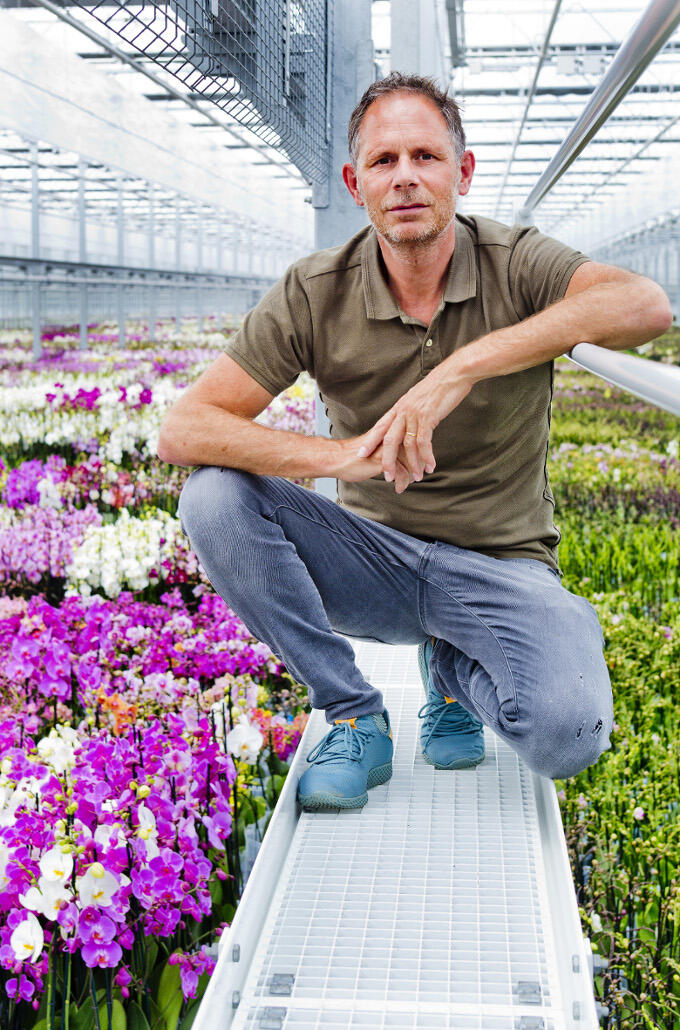 Voortdurend vernieuwen. Als je als orchideeënkweker zoals Richard ter Laak het hoofd boven water wil houden moet je wel innovatief en creatief zijn