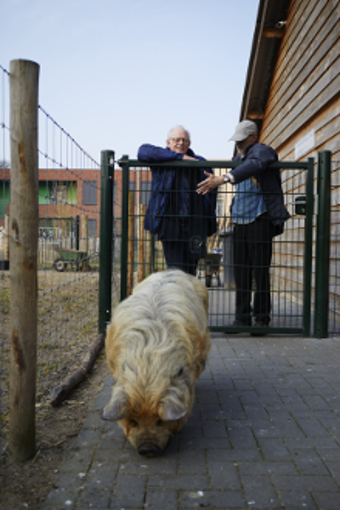 Kinderboerderij Dierenvallei