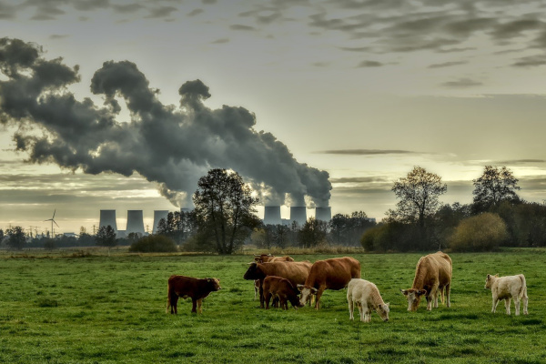 Herziening Richtlijn Industriële Emissies oogst kritische reacties