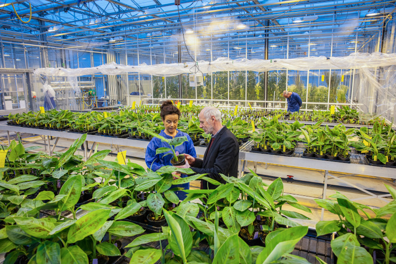 Plantum: 'Verlenging kwekersrecht belangrijk voor verduurzaming'