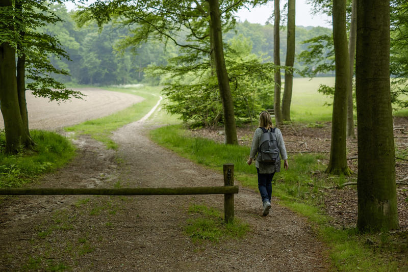 ‘Klimaatbeleid moet burgers en bedrijven handelingsperspectief geven’