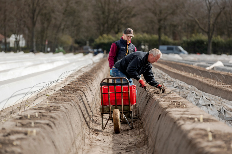 Horecaman Wim Cox: 'Geen werk voor je personeel? Help andere bedrijven'