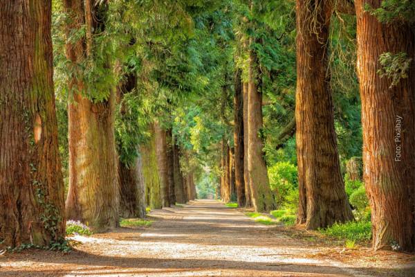 Debat natuurherstel raakt oververhit