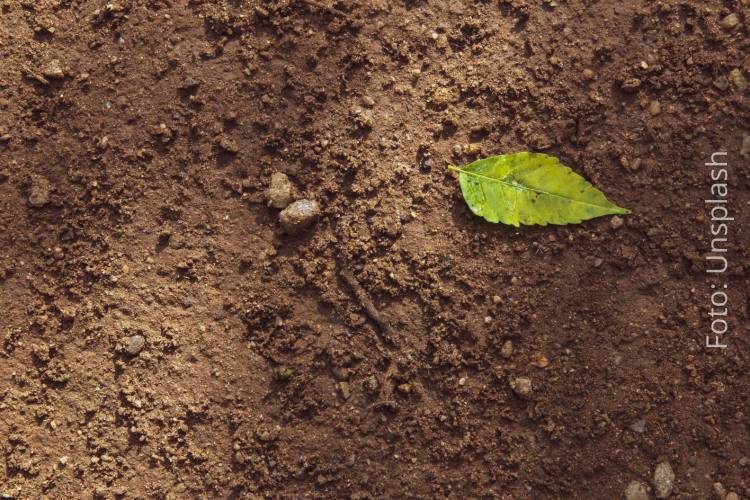 Soil Monitoring and Resilience – nieuwe Europese regels om bodemgezondheid te verbeteren