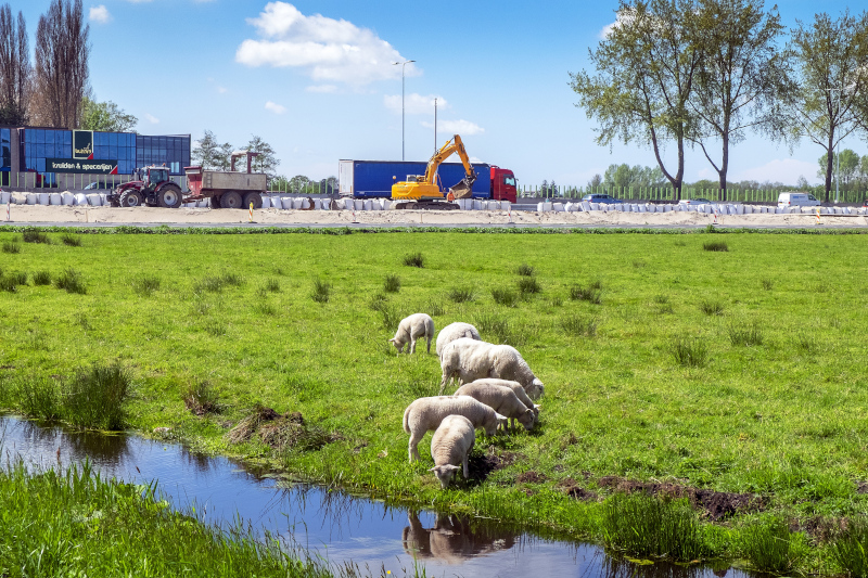 Geen ruimte voor economische ontwikkeling in stikstofplannen