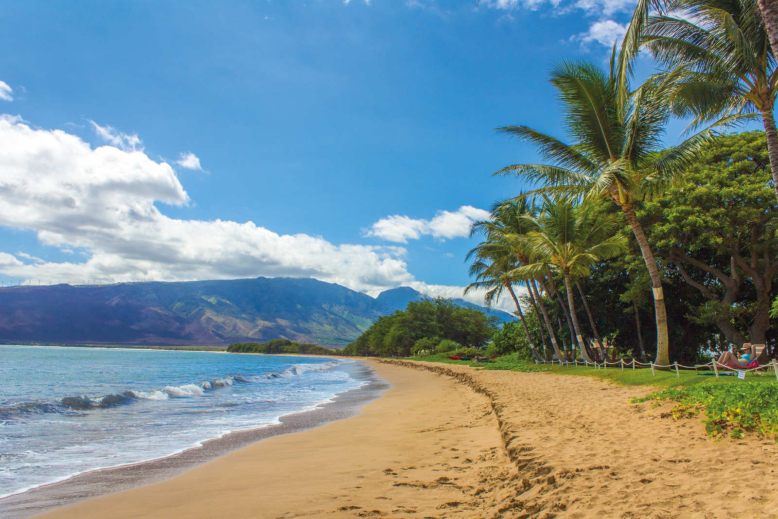 Zeeland, Hawaii of toch naar Portugal? Zó brengen ceo’s hun zomer door