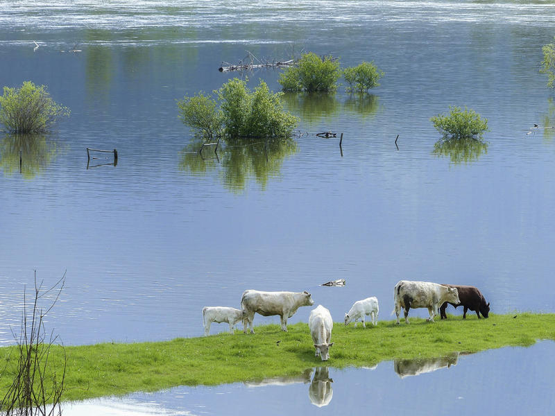 ‘Niet schuiven met tarieven waterschapsbelasting voor woningen en bedrijven’