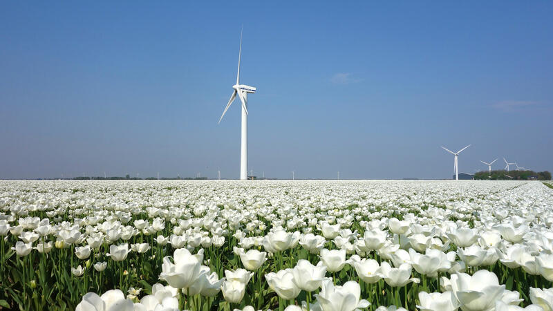 Klimaatdoelen zekerstellen vraagt focus op uitvoering