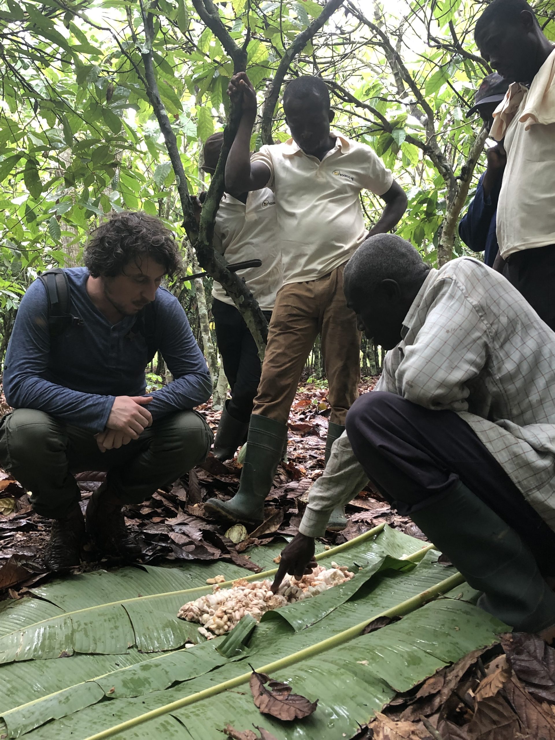 Groene groeier helpt boeren West-Afrika aan leefbaar inkomen