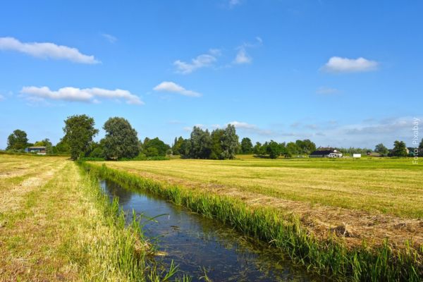 EU-beleid gezonde leefomgeving: grote uitdagingen voor Nederland en lidstaten