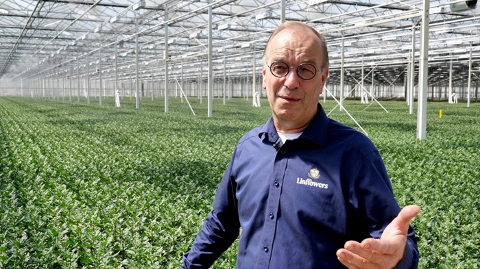“Tuinbouw kan niet van het gas af zonder extra aansluitingen op het stroomnet”