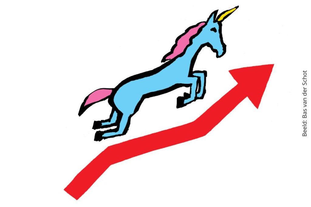 Forum Essay Wie gezond wil groeien, moet durven sturen