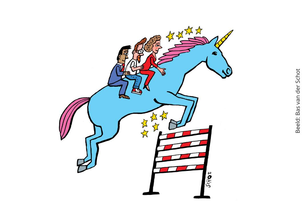 Essay: Wie gezond wil groeien, moet durven sturen